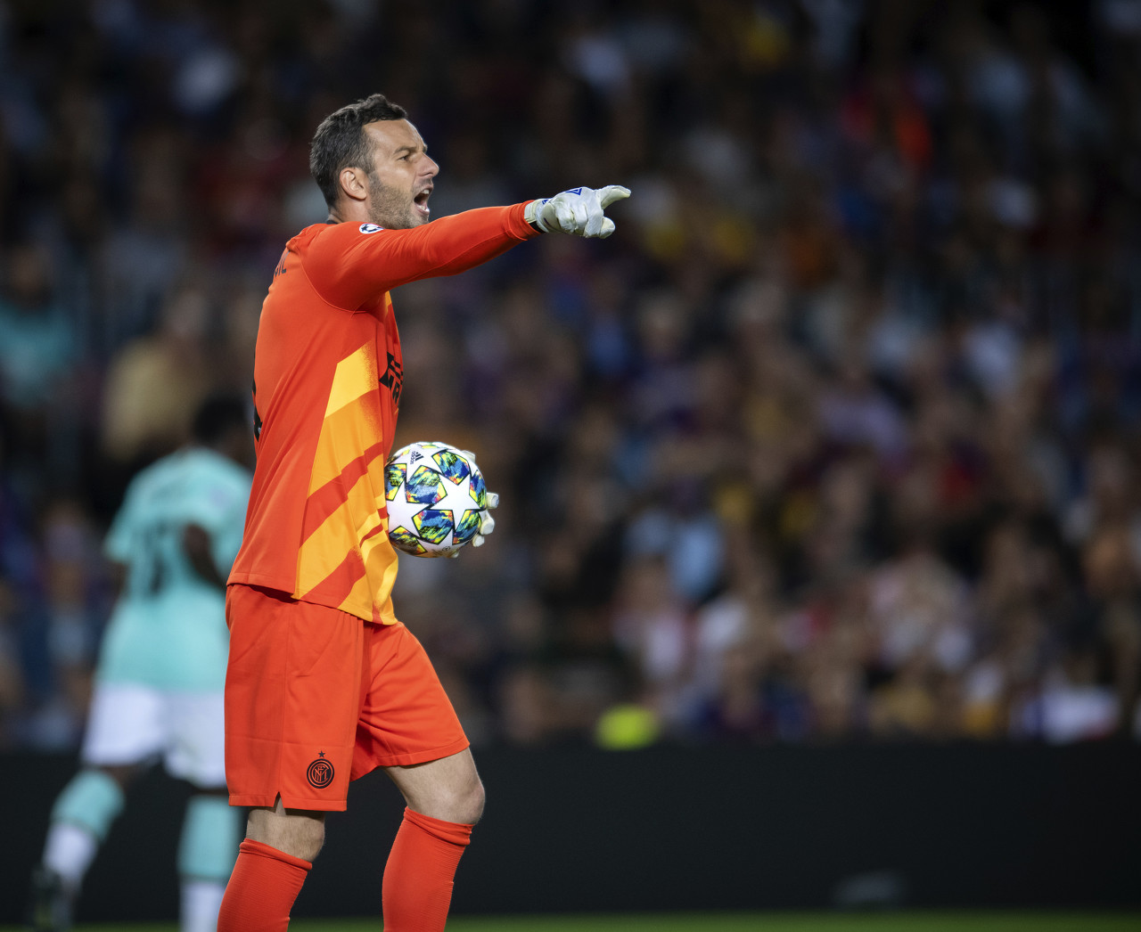 目追求巨星 目追求巨星